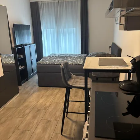 Ferienwohnung Konstanz Daire *